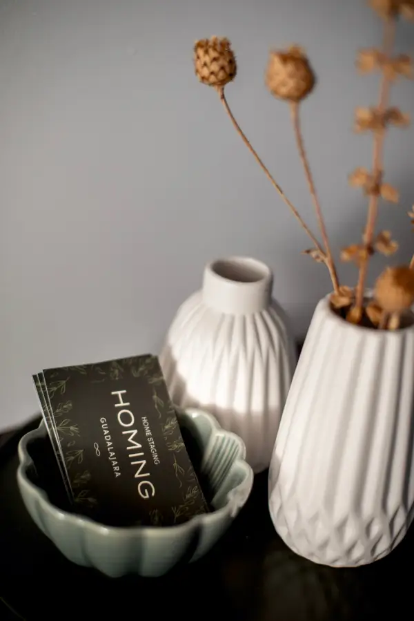 homing guadalajara 08